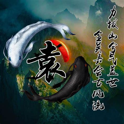 鯉魚吉祥話|【鯉魚寓意】鯉魚寓意翻身飛躍，化龍成吉祥！